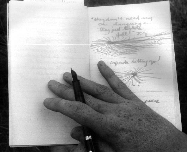 [notebook.JPG]