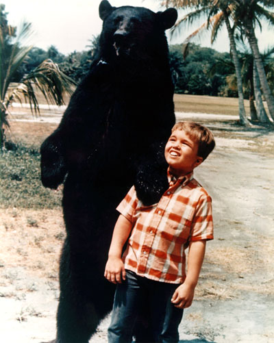 Gentle Ben movie