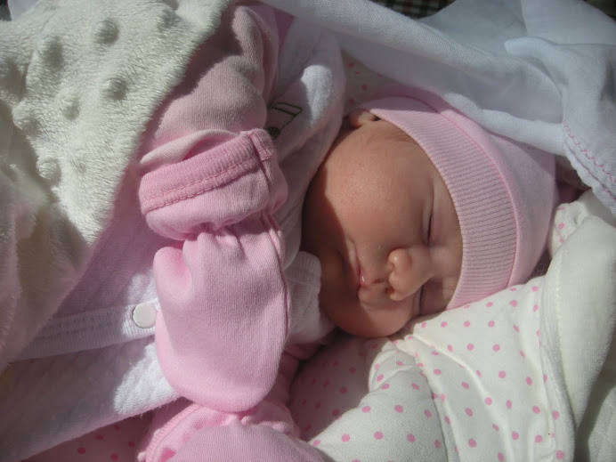 teyzesinin birtanesi