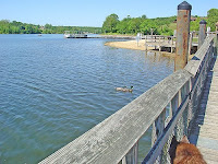click to enlarge