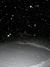 Yea!!! more snow!!!