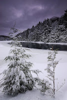 Life In Shades Of F Major Must The Winter Come So Soon From