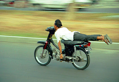 herrywongkeblog: Dulu Babi Sekarang Monyet!