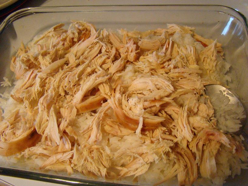 [chick+n+rice+-+start.JPG]