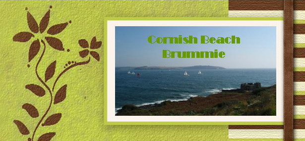 Cornish Beach Brummie