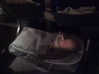 united airlines baby bassinet