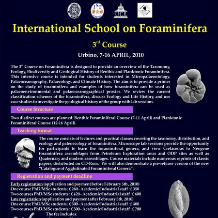 foraminifera classification