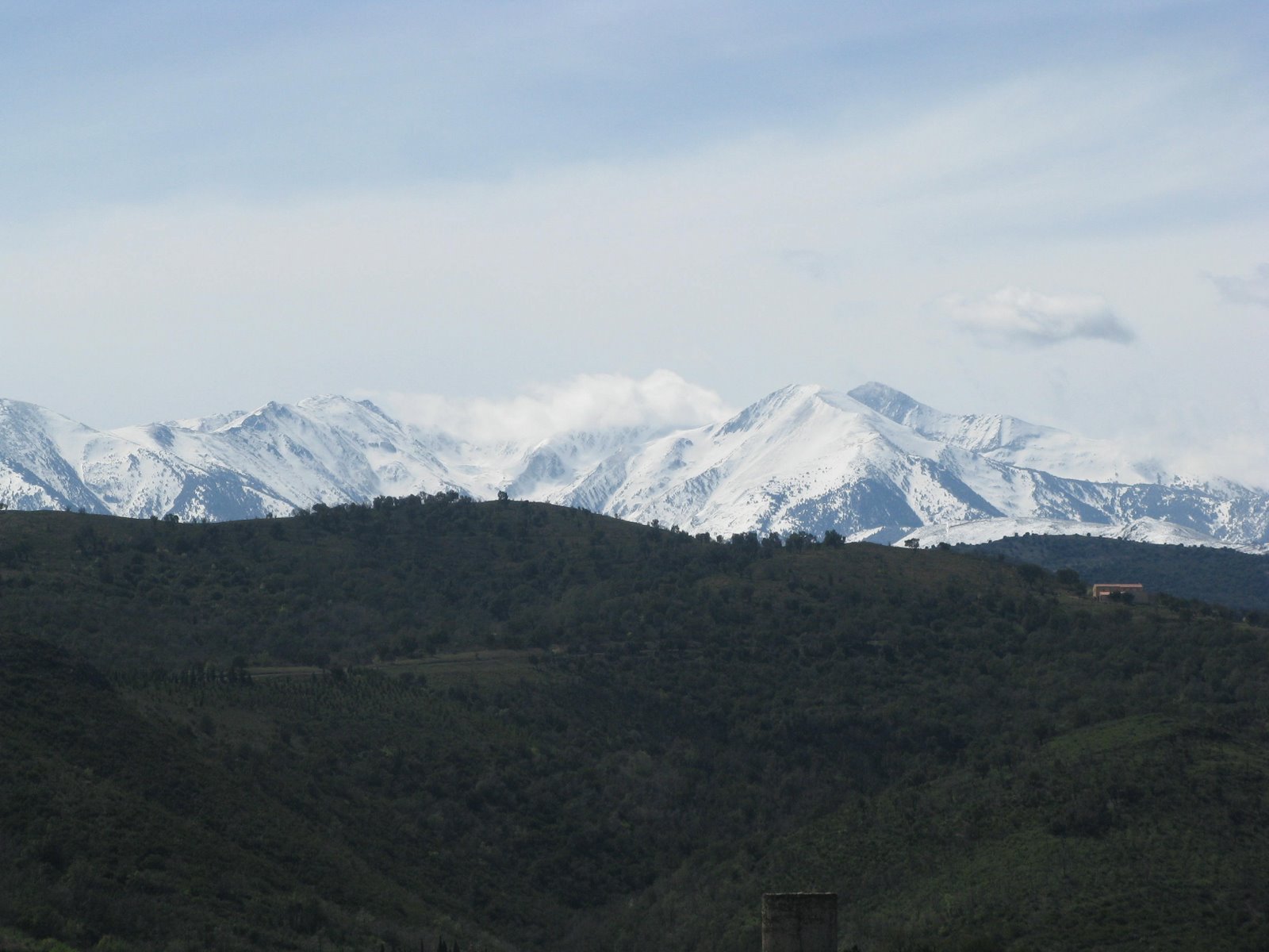 [IMG_2313.JPG]