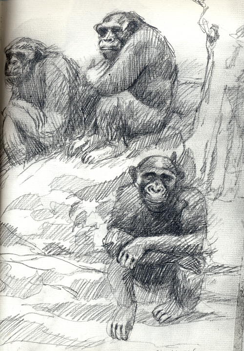 [monos.jpg]