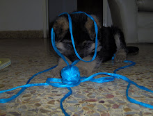 Hannibal Lexter D´drako