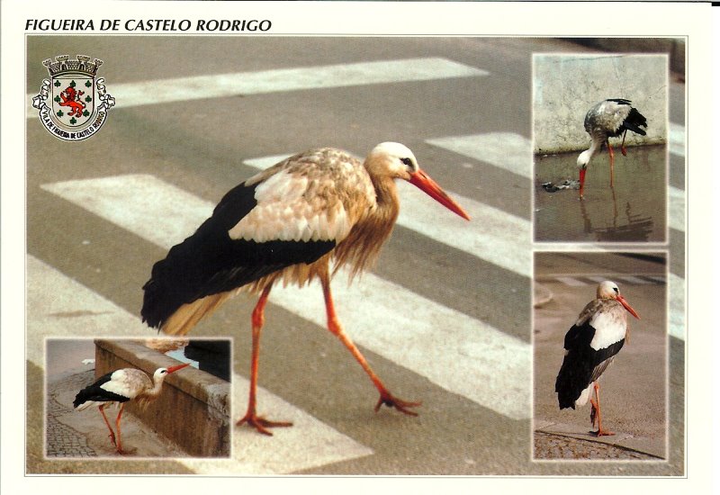 [Digitalizar0003.bmp]