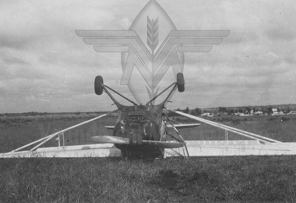 [Auster.jpg]