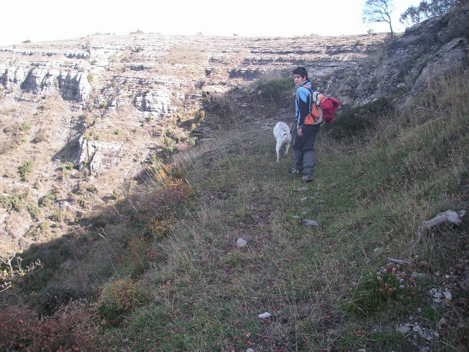 [PICT0284.JPG]
