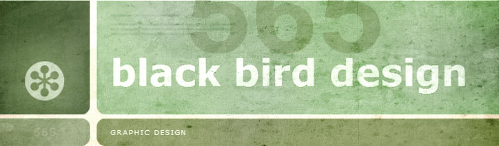 Black Bird Design