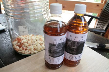 ボクん家の庭 唐辛子とニンニクの殺虫木酢液