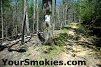 Cooper Road Trail