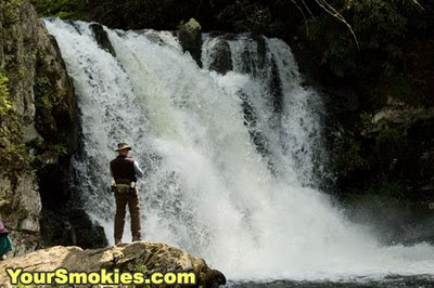 20 year old hiker Drowns in the Great Smoky Mountains national park