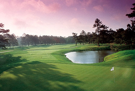 pinehills golf course pinehills golf course