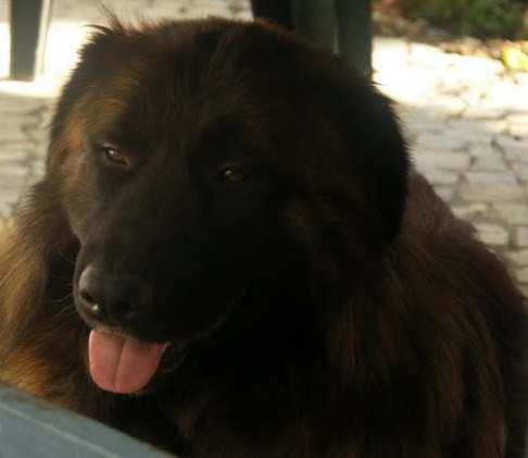 [PICT0295.JPG]
