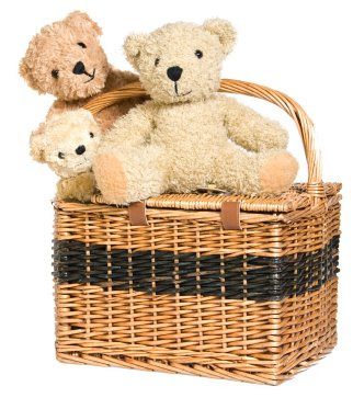Teddybears Picnic
