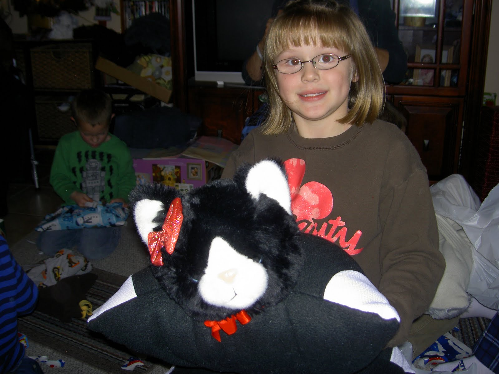 Chapman Place Pillow Pet Rip Off