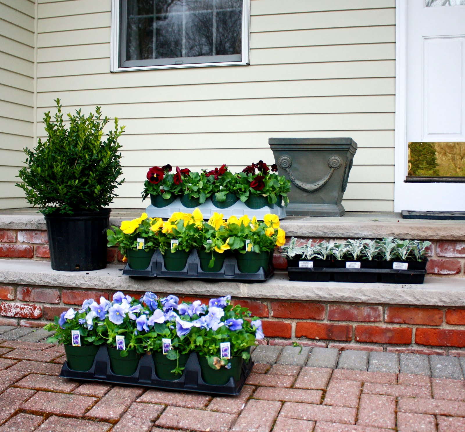 Pot Plants For Front House Home Safe