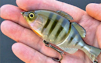 Jackall Giron Swimbait