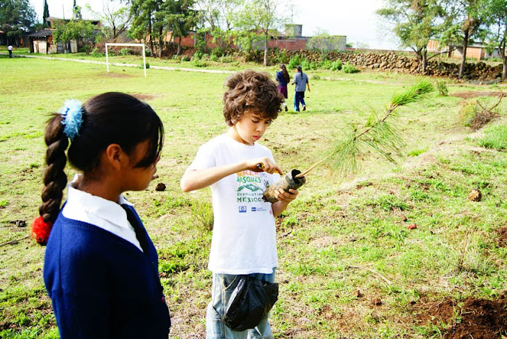 Temporada de Reforestacion 2010