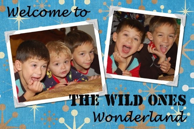 Our Three Wild Ones