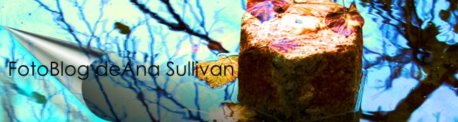 AnaSullivan FotoBlog