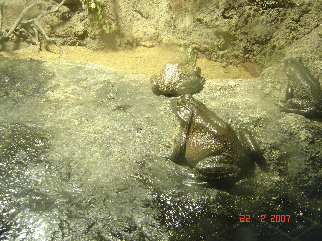 [DSC09316.JPG]