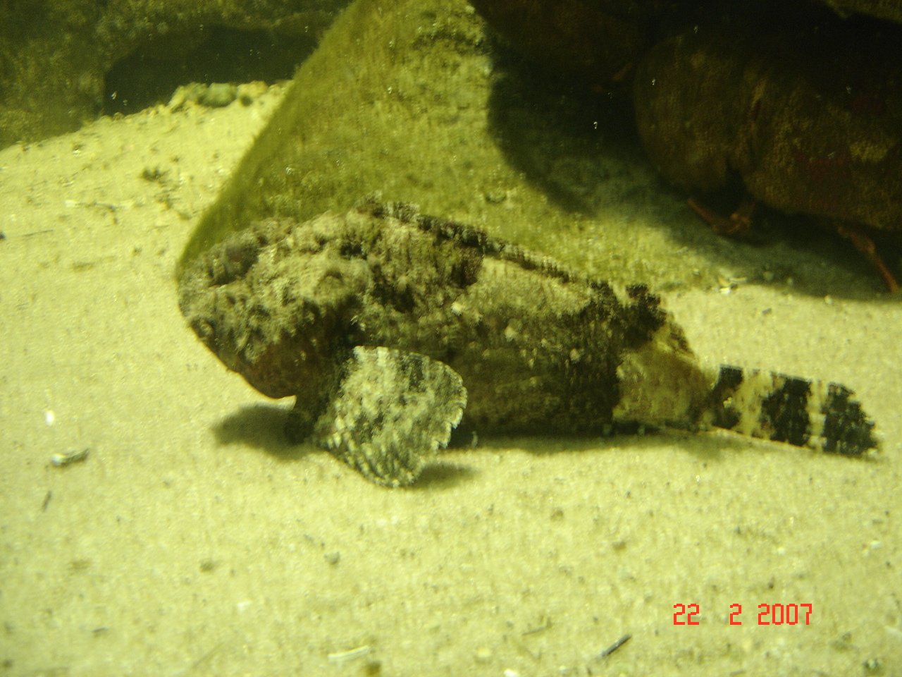 [DSC09305.JPG]