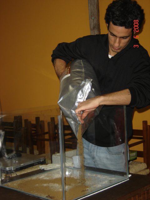 [DSC09074.JPG]