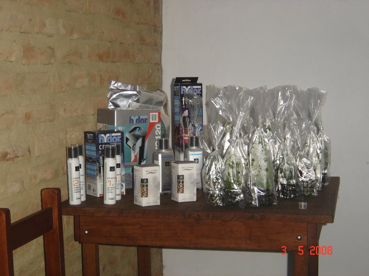 [DSC09054.JPG]