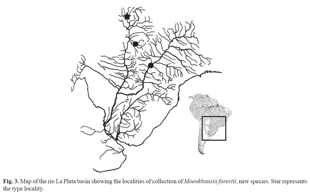 [Localidade.jpg]