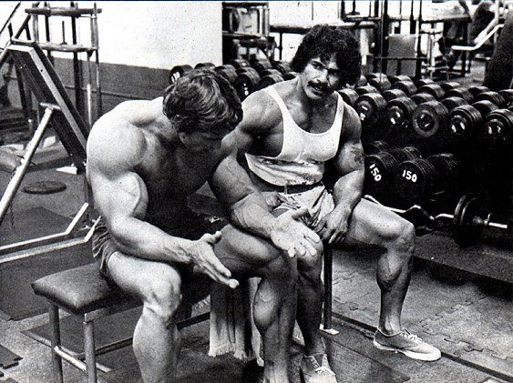 ARNOLD 3