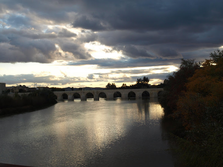 Un atardecer mirando al puente romano y rio guadalquivir