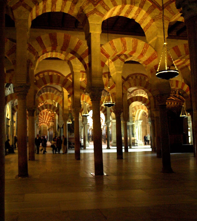 Excursión a  Córdoba.Noviembre 2008