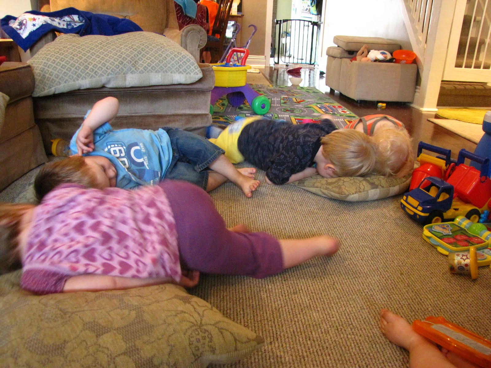 Lily The Lionhead Bunny Has A Handi-HOP.