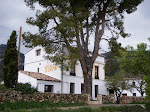 Restaurante El Pino