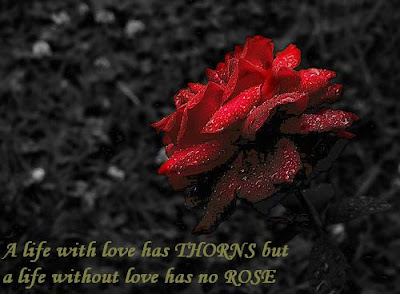 essay on no roses without thorns Yet we hope to be one without the other – a rose without a thorn we forget our agreement no rose without thorns tweet by sue frederick / make a comment. essay on no roses without thorns Yet we hope to be one without the other – a rose without a thorn we forget our agreement no rose without thorns tweet by sue frederick / make a comment.