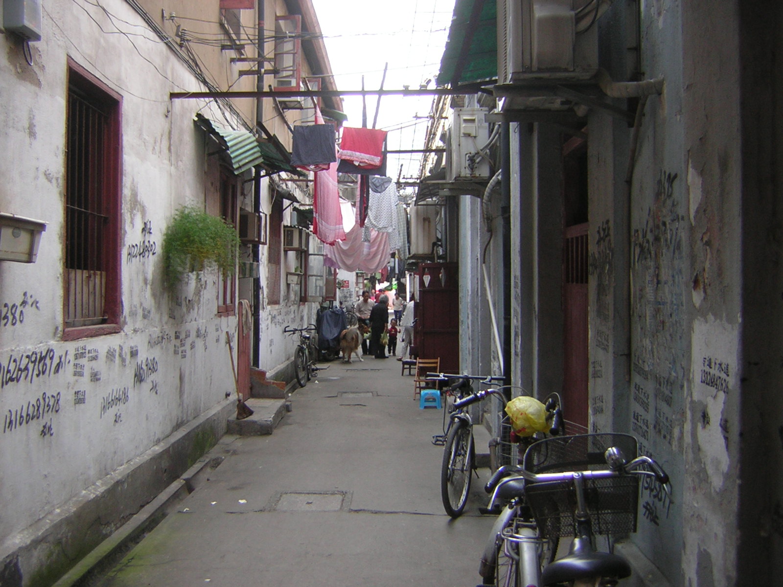 [DSCN0929.JPG]
