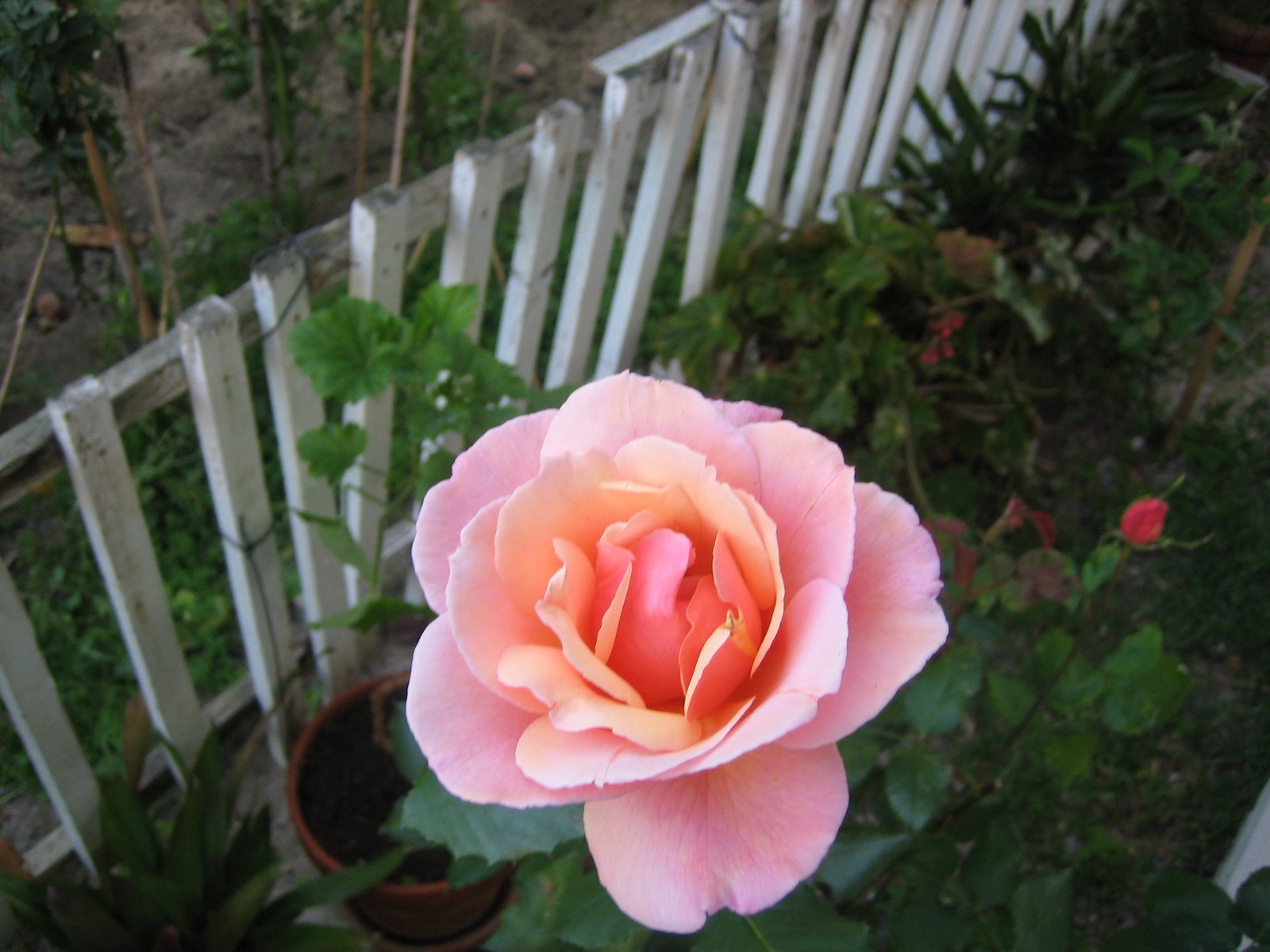 [IMG_1092.JPG]