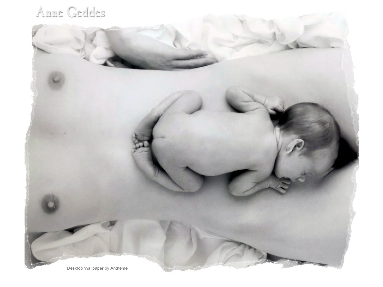 [Anne-Geddes-wall-anth03.jpg]