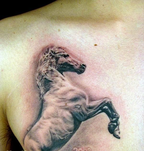Free Tattoo Designs: Horse tattoo on the chest