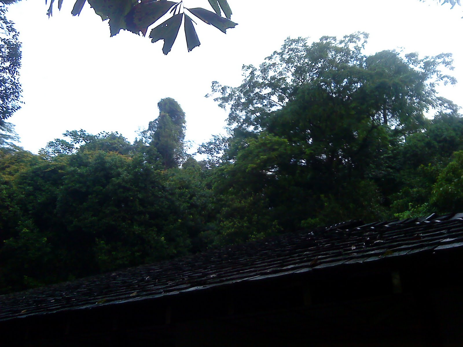 [DSC00219.JPG]