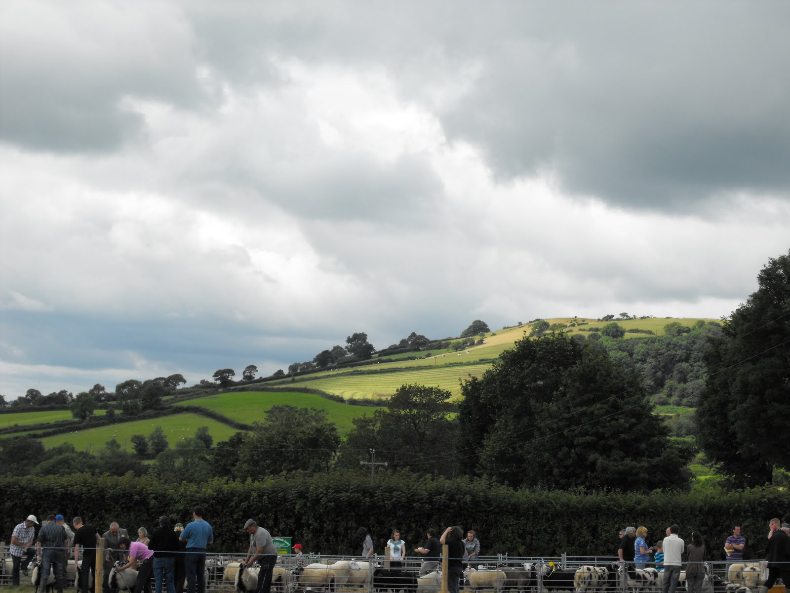 [2009_08085thJuly20070011.JPG]