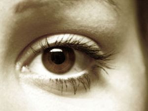 Historians love Eyewitness