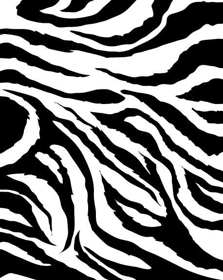 ZEBRA!!!!