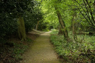 Darwin's Sandwalk